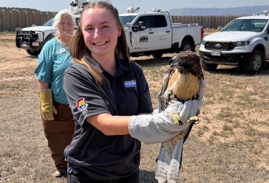 A Black Hills Energy employee holds Blue, the hawk, during rescue efforts
