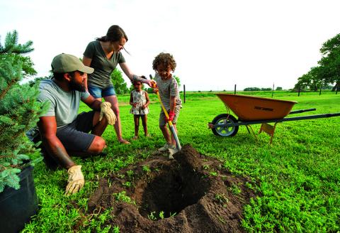 digging